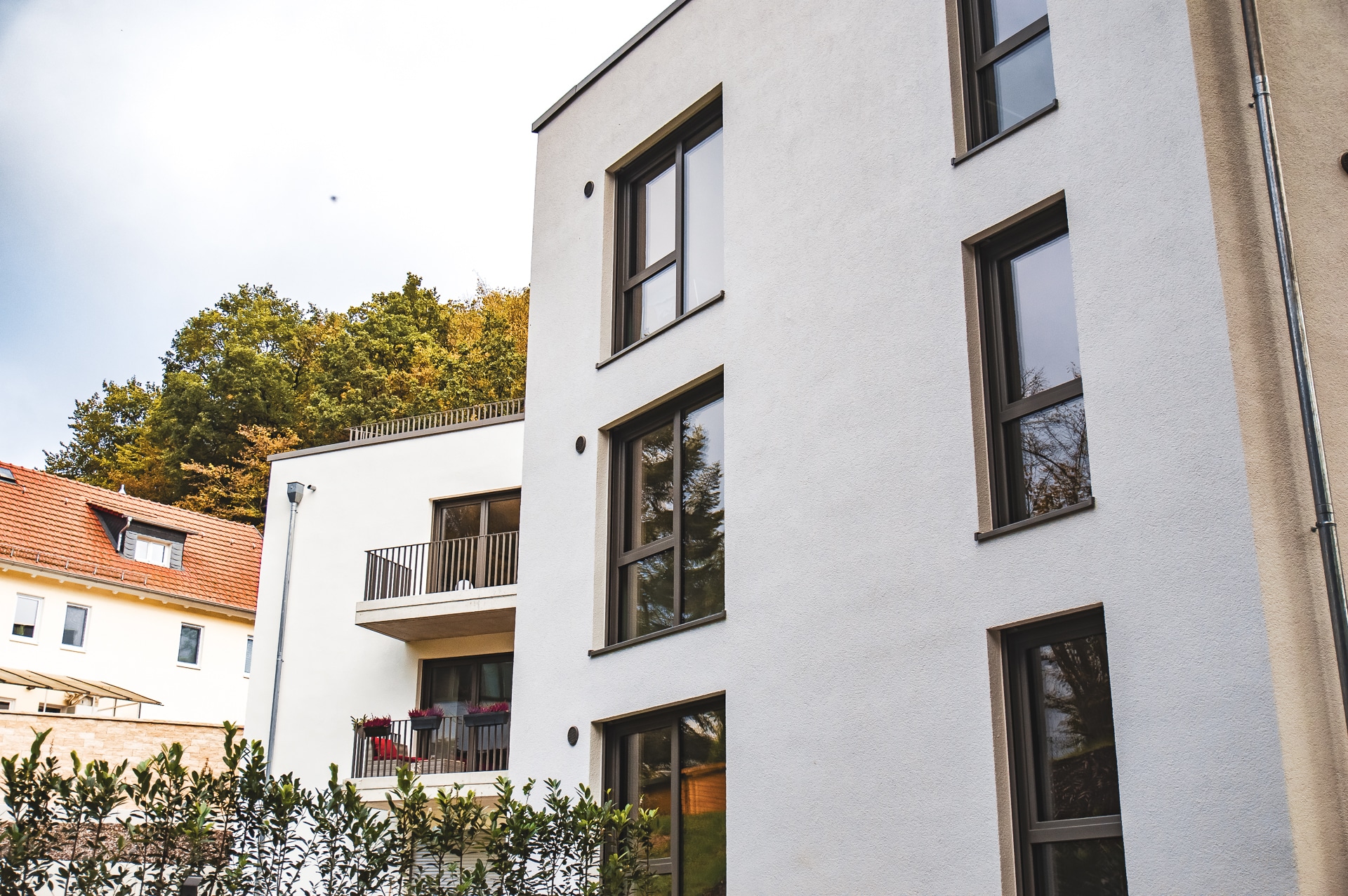 behring4
